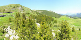 Bear Sanctuary
