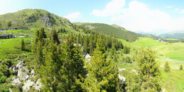 Bear Sanctuary