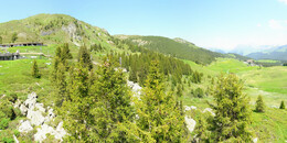 Bear Sanctuary