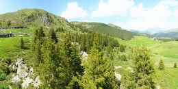 Bear Sanctuary
