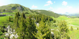 Bear Sanctuary