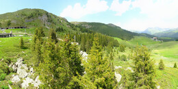 Bear Sanctuary