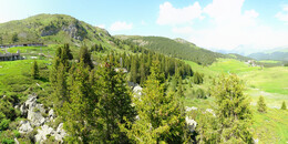 Bear Sanctuary