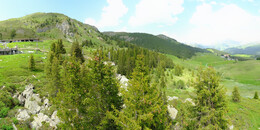 Bear Sanctuary