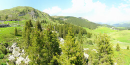 Bear Sanctuary