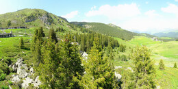 Bear Sanctuary