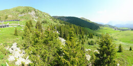 Bärenland