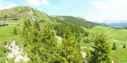 Bärenland