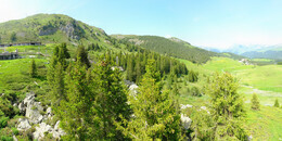Bear Sanctuary