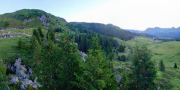 Bear Sanctuary