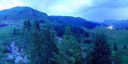 Bear Sanctuary