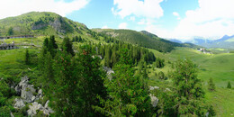Bear Sanctuary