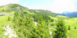 Bärenland