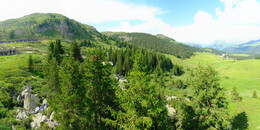Bärenland