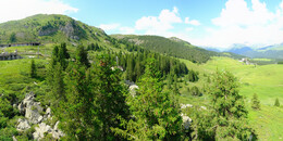 Bear Sanctuary