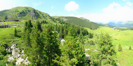 Bärenland