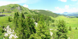 Bear Sanctuary