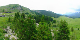 Bear Sanctuary