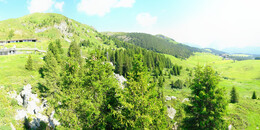 Bärenland