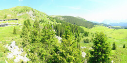 Bear Sanctuary