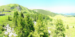 Bear Sanctuary