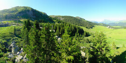 Bärenland