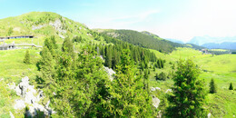 Bear Sanctuary