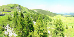Bärenland