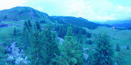 Bear Sanctuary