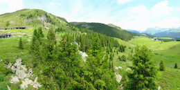 Bear Sanctuary