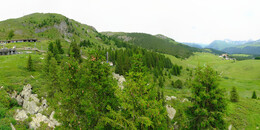 Bear Sanctuary