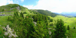 Bärenland