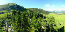 Bärenland