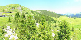 Bear Sanctuary