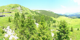 Bärenland