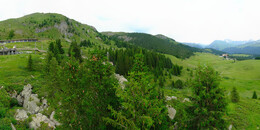 Bear Sanctuary