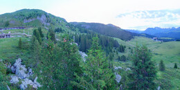 Bear Sanctuary