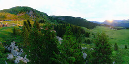 Bear Sanctuary