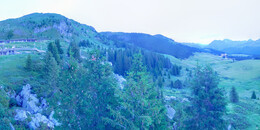 Bärenland