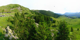 Bärenland