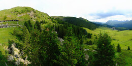 Bärenland