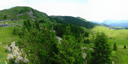Bear Sanctuary