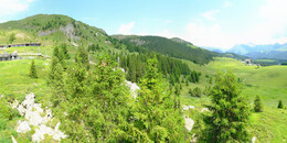 Bärenland