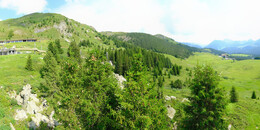 Bear Sanctuary