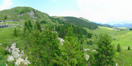 Bärenland