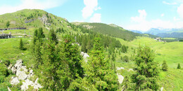 Bärenland