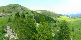 Bärenland