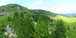 Bärenland