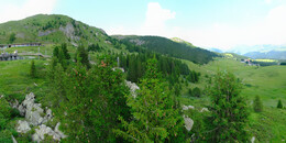 Bärenland