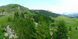 Bärenland